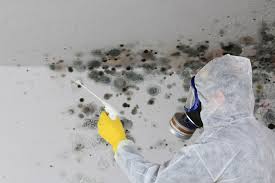 Best Biohazard Mold Removal  in Buckeye Lake, OH